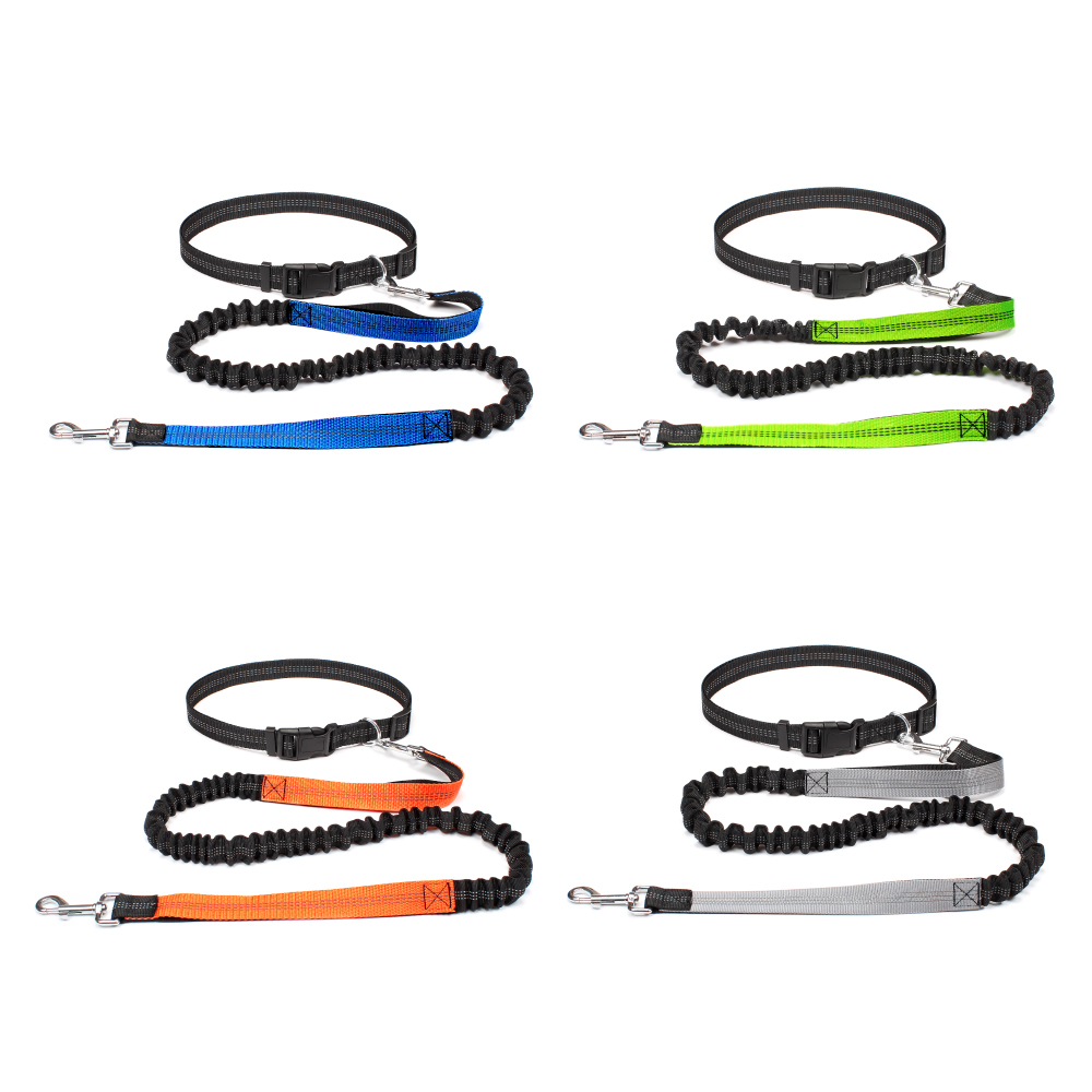حزام مشي للكلاب بدون استخدام ا - مراجعة Running Gear Organizer وسعره
